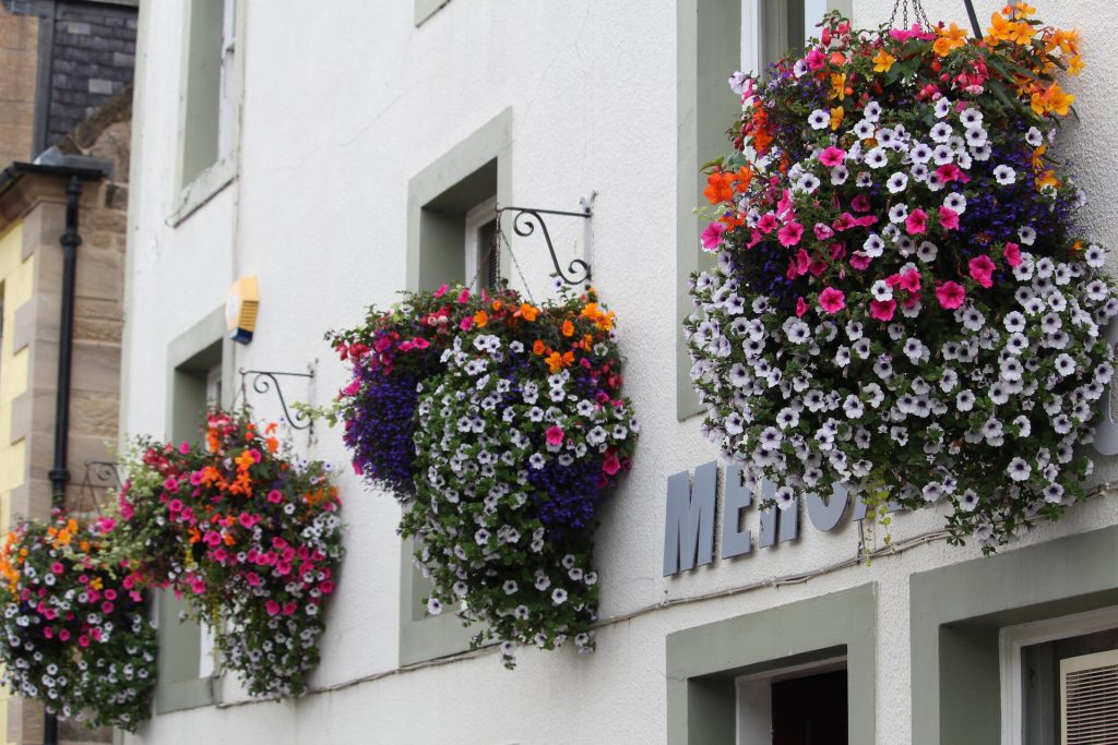 Hanging Basket Display