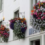 Hanging Basket Display