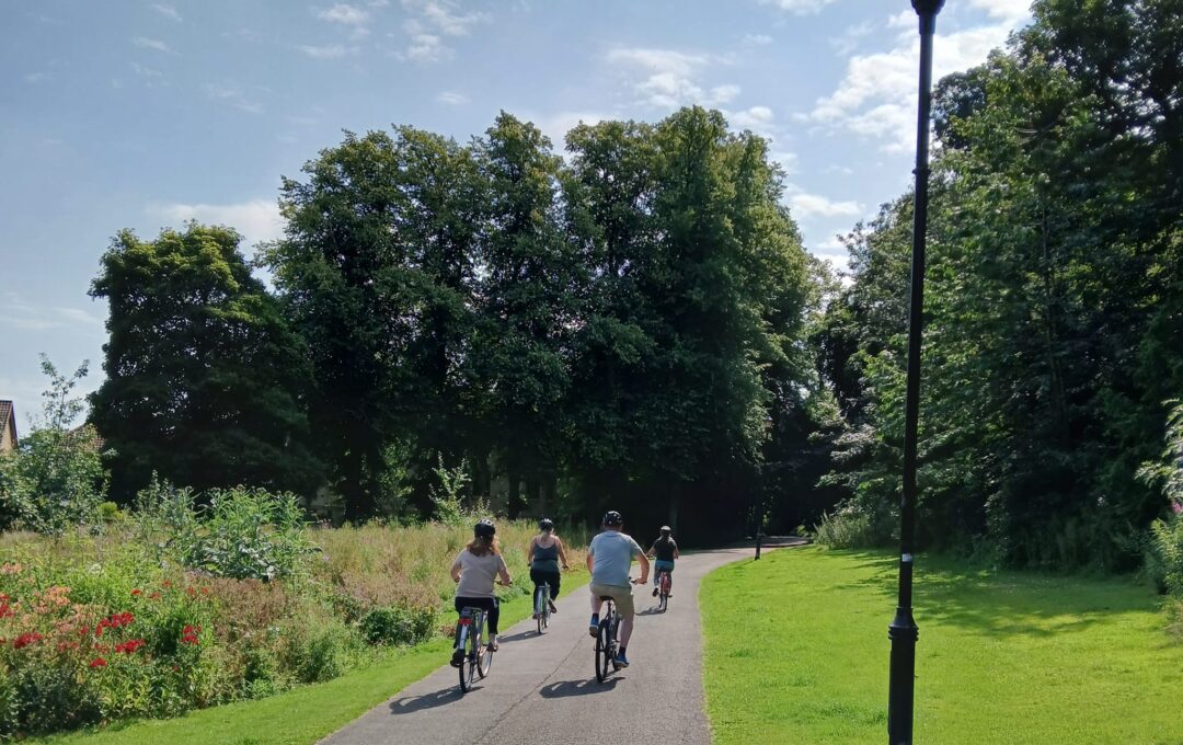 Family riding bikes through a park