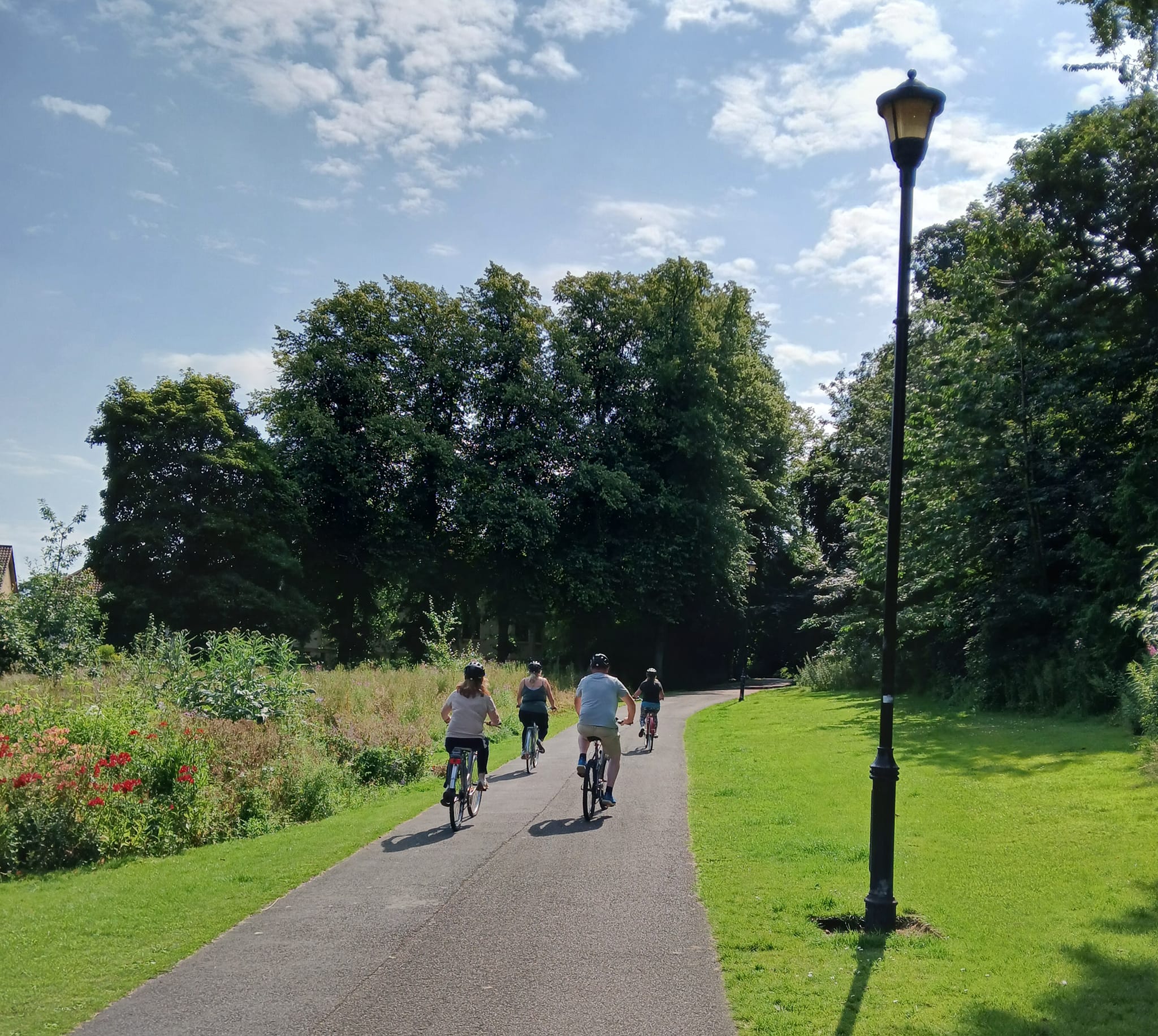 Family riding bikes through a park